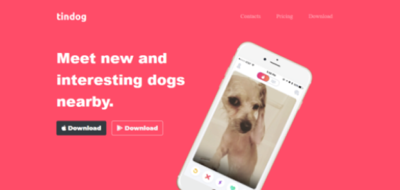 picture of Tin-Dog Website